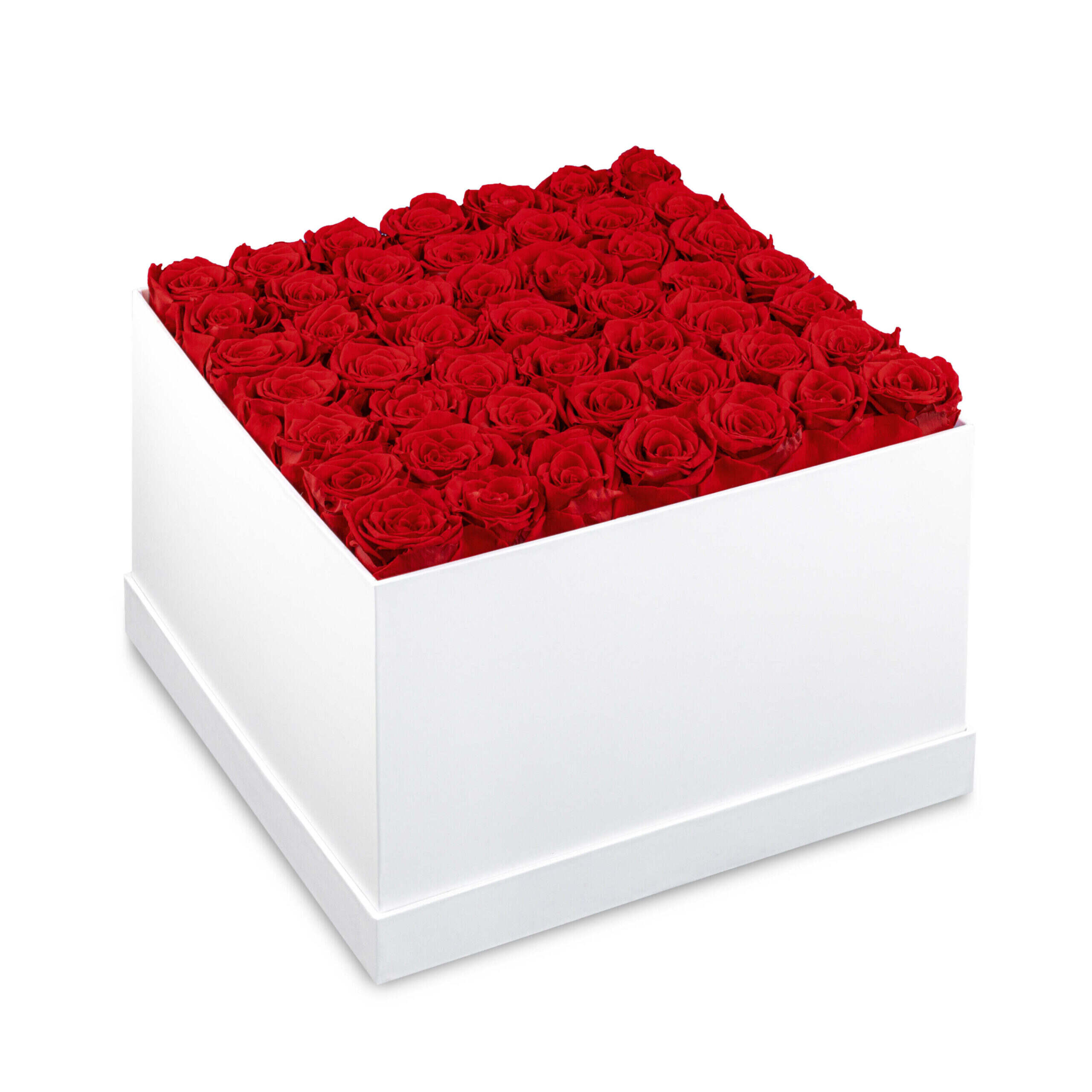 Square Rose Box-49 roses (2 boxes pack)