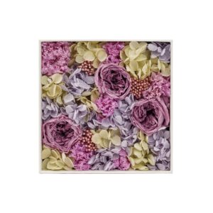 Africa Violet-Mixed Flower Box