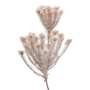Featherhead