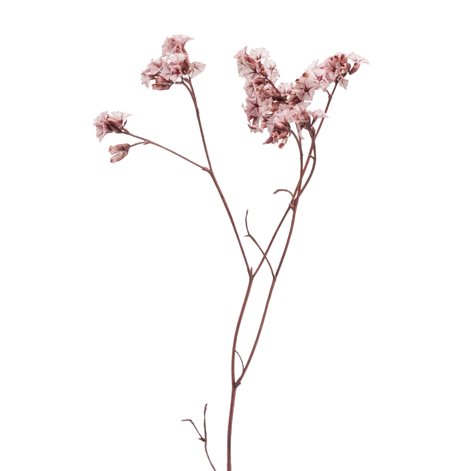 Crystal Grass Flower (10 bundles pack) - Image 2