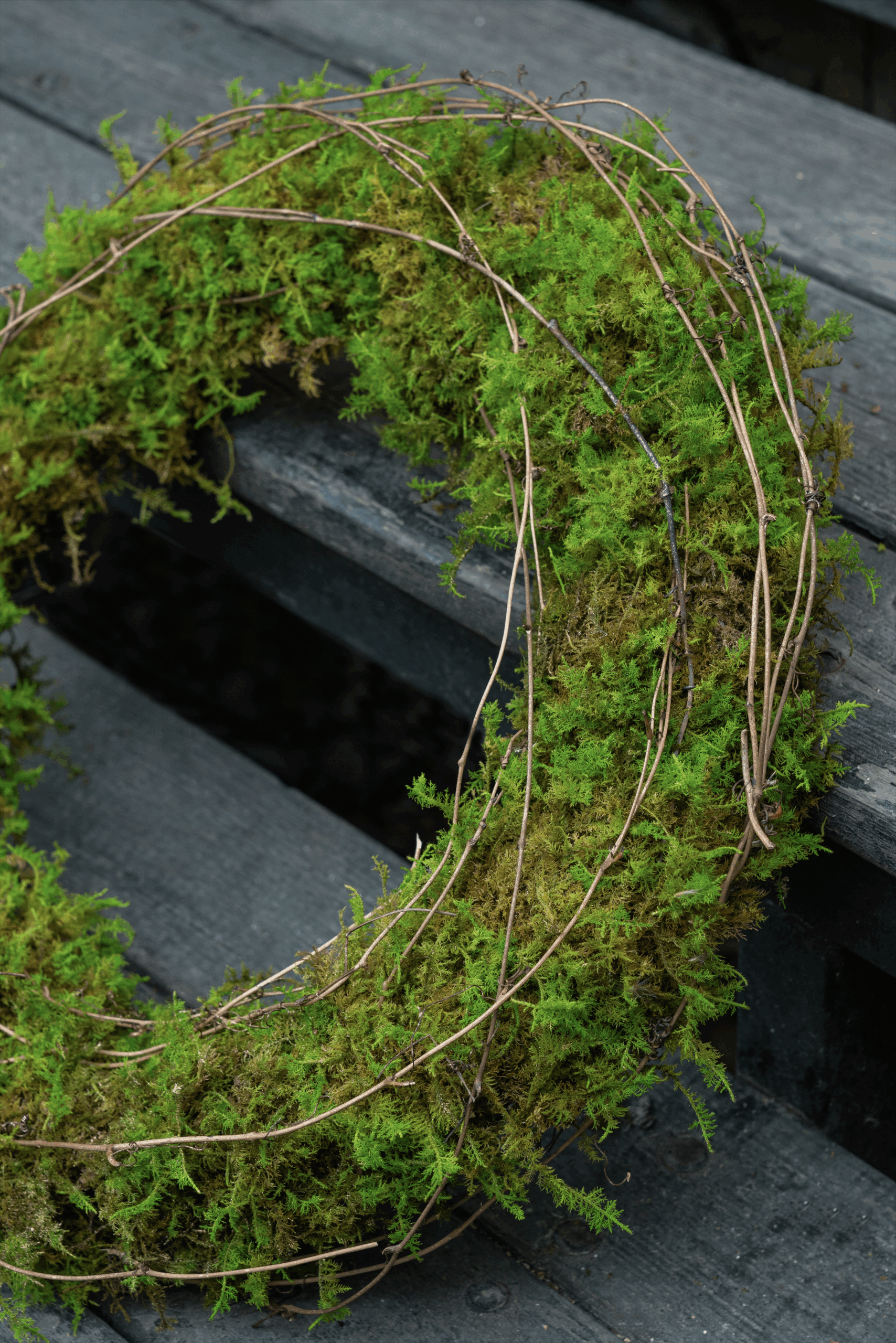 Moss Wreath (4 pcs pack/2 pcs pack) - Image 3